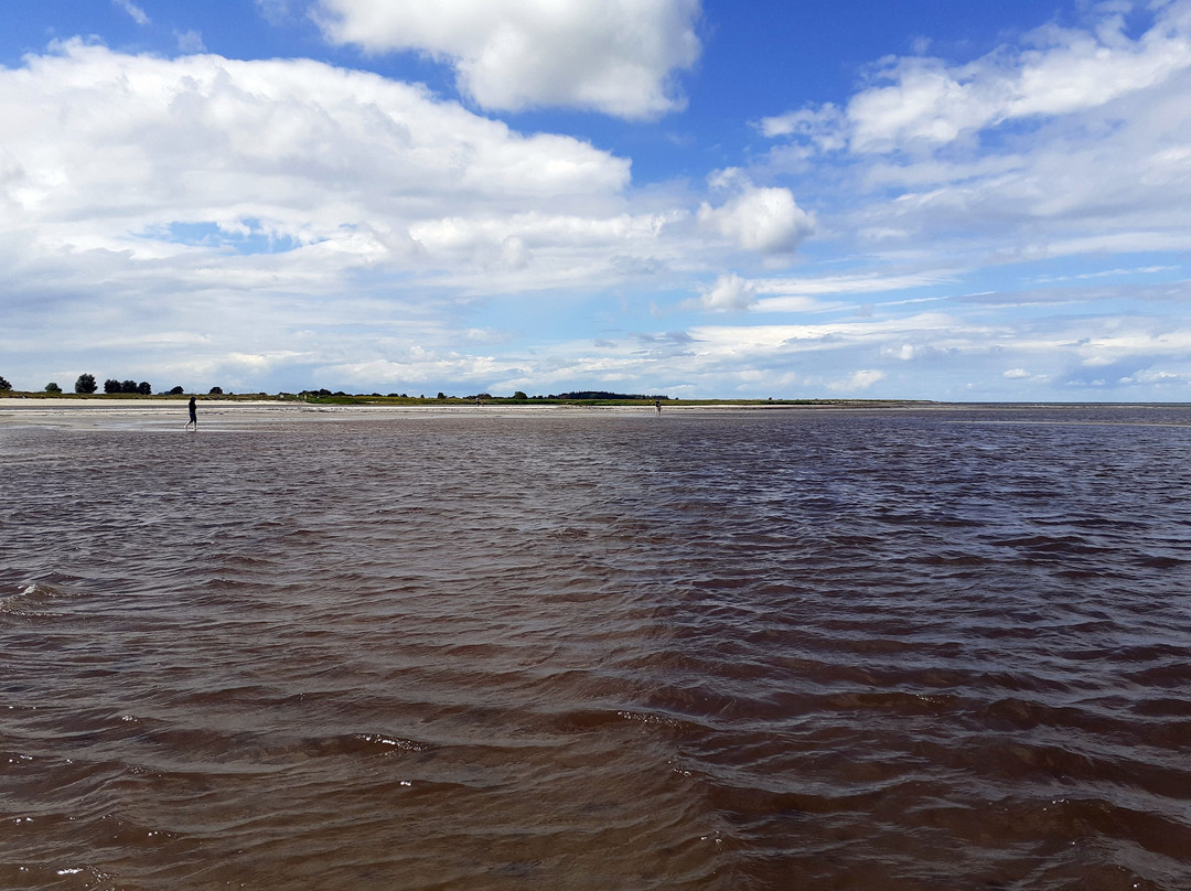 Gruene Brink Strand