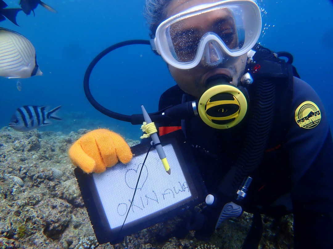 Diving Shop Natural Blue-读谷村必去景点