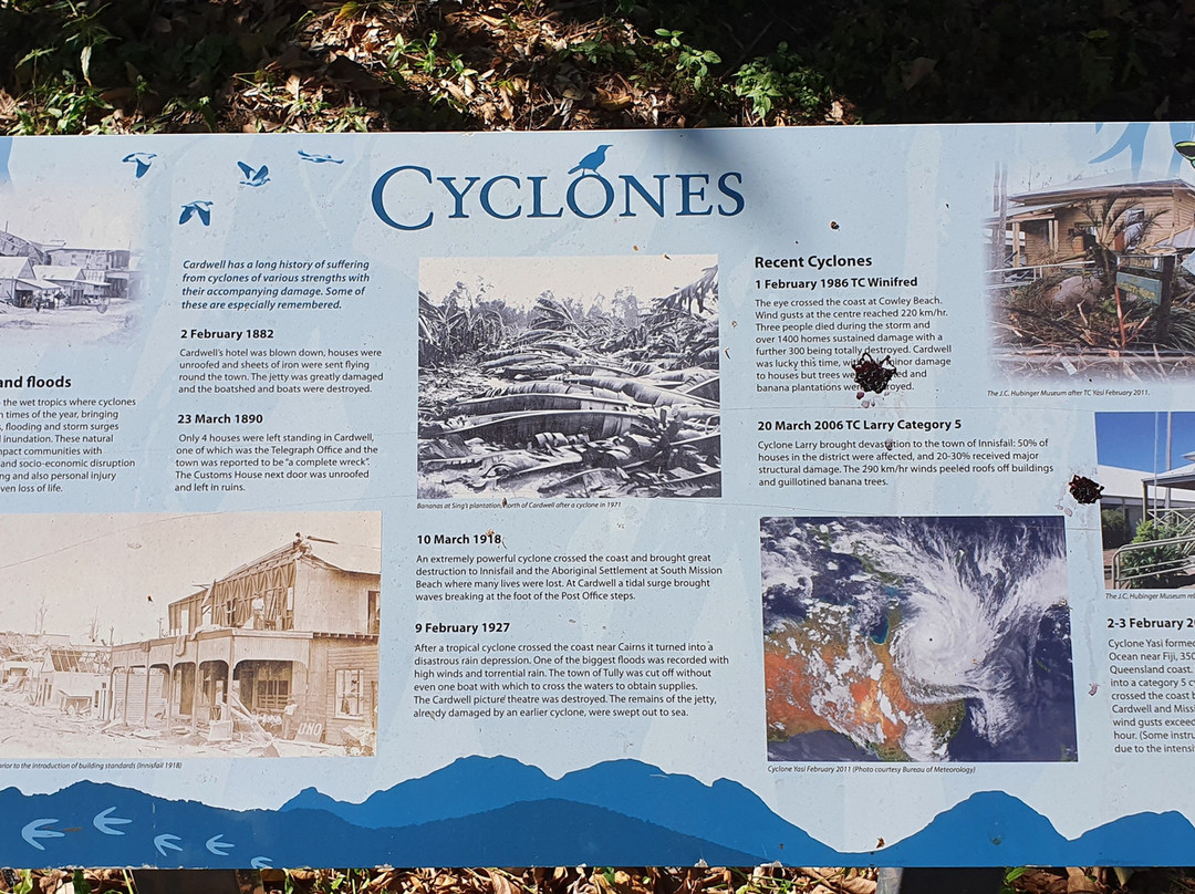 Cardwell Rainforest & Reef Visitor Information Centre-卡德威尔必去景点