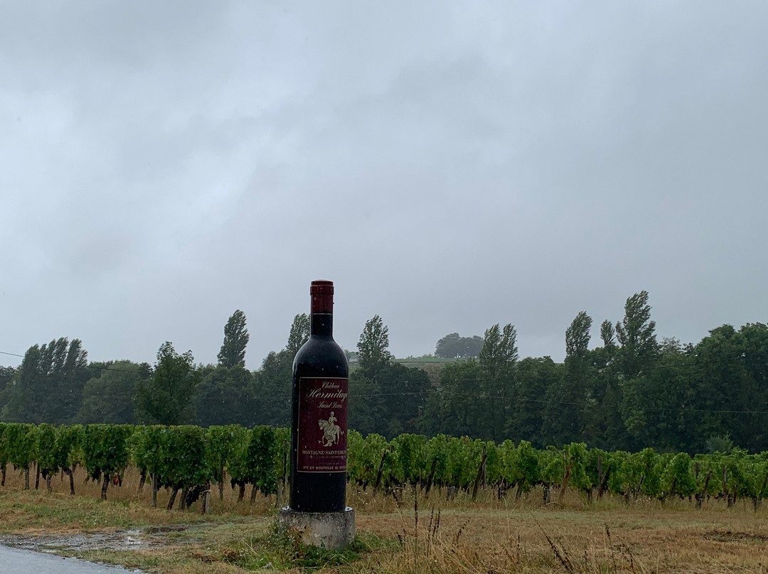 Au Vélo Dans L'Arbre主图