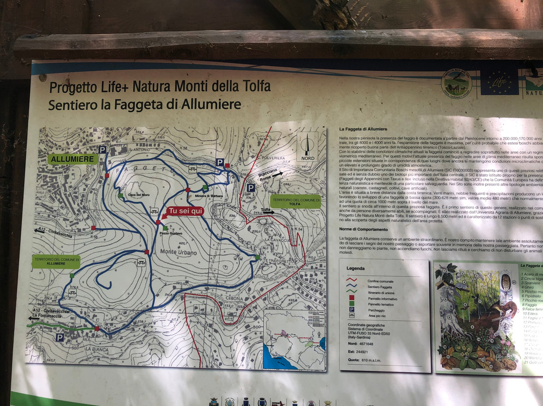 Il Faggeto-Allumiere必去景点