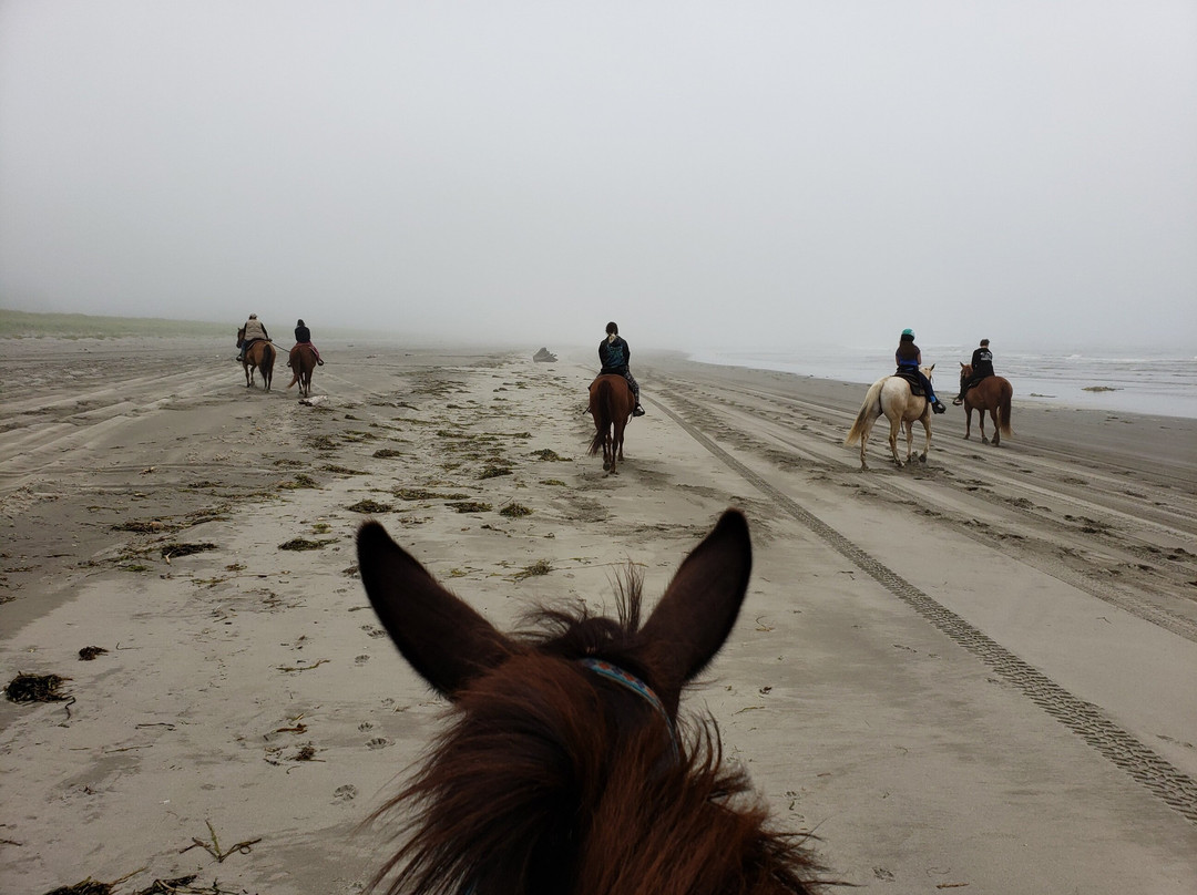 West Coast Horse Rides景点图片