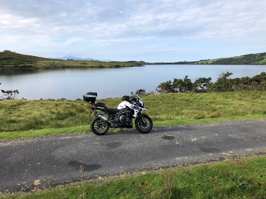 Brannens of Newport主图