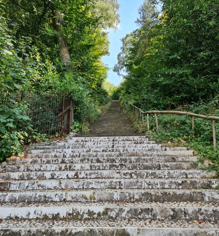 The Deepdene Trail景点图片