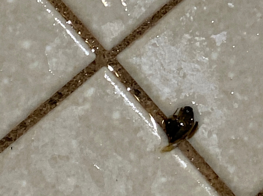 Americinn By Wyndham Dodgeville主图