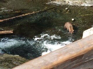 Russian River Falls-Cooper Landing必去景点