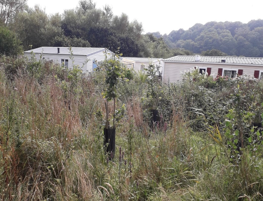 Le Marais de Trestel-Trevou-Treguignec必去景点