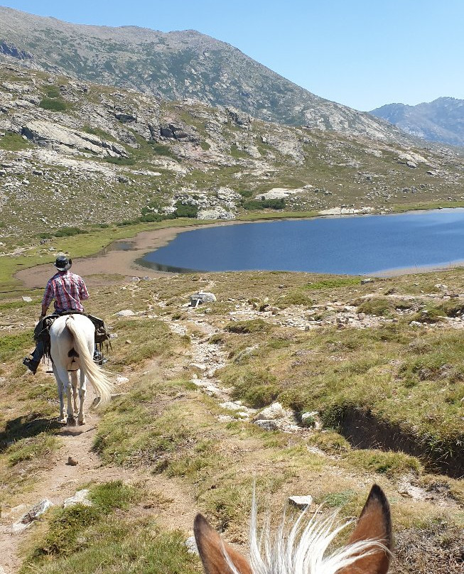 Ranch u Niolu a Cavallu景点图片