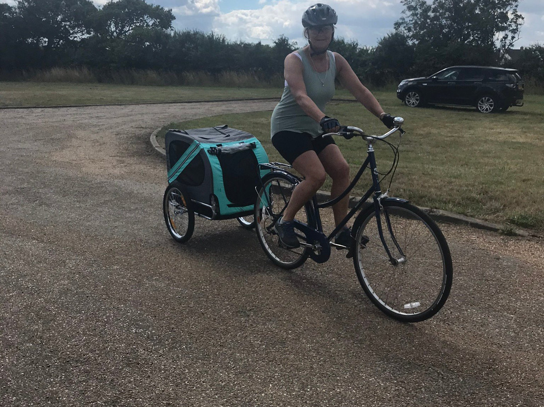 Broadland Cycle Hire景点图片