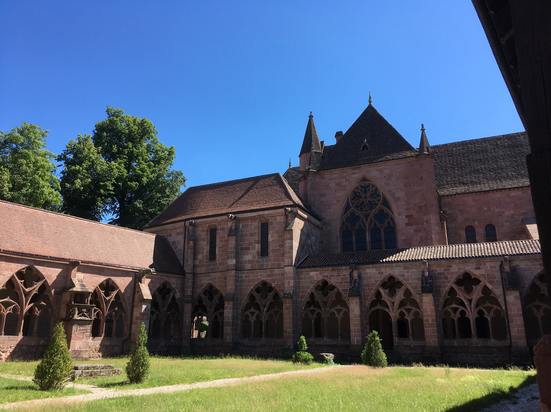 Saint-Die Cathedral-孚日圣迪耶必去景点
