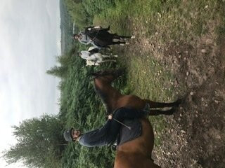 Budleigh Salterton Riding School景点图片