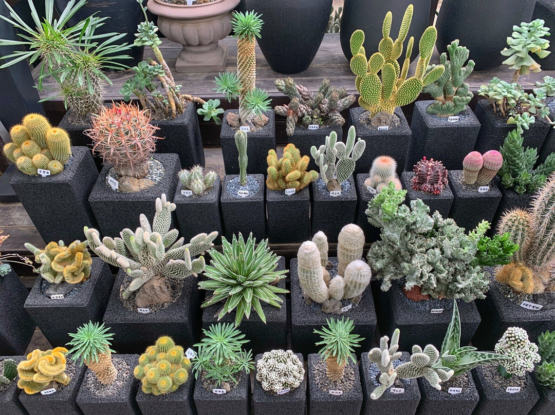 Yangjae Flower Market Center-首尔必去景点