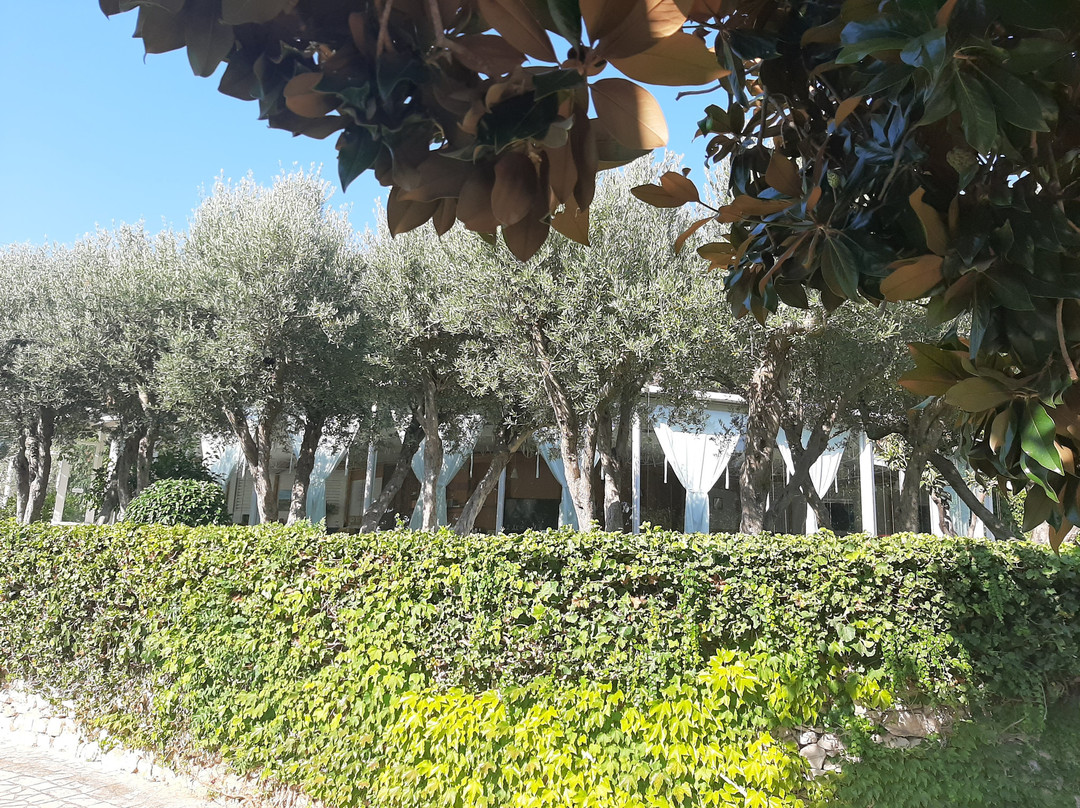 Villa Aurea Bed & Breakfast主图