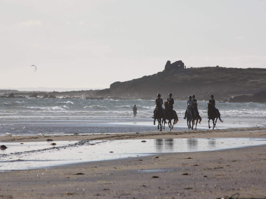 Centre Equestre des Dunes-Erdeven必去景点