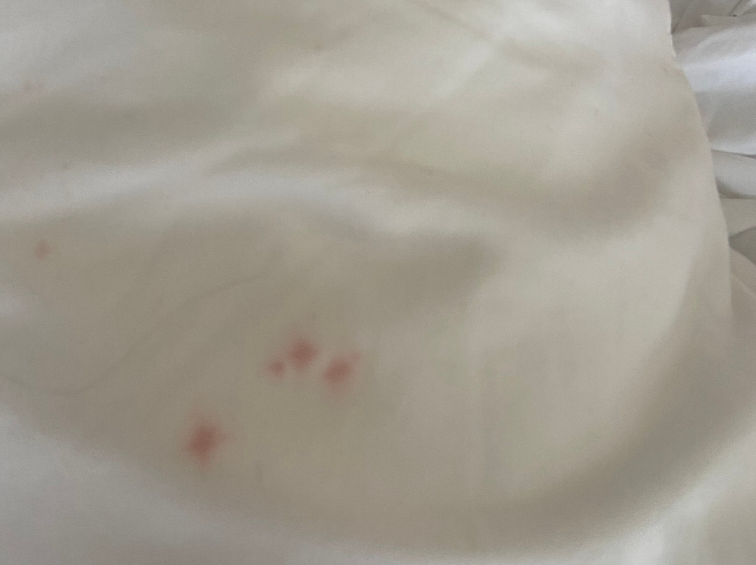 Hyatt Place Cincinnati - Blue Ash主图