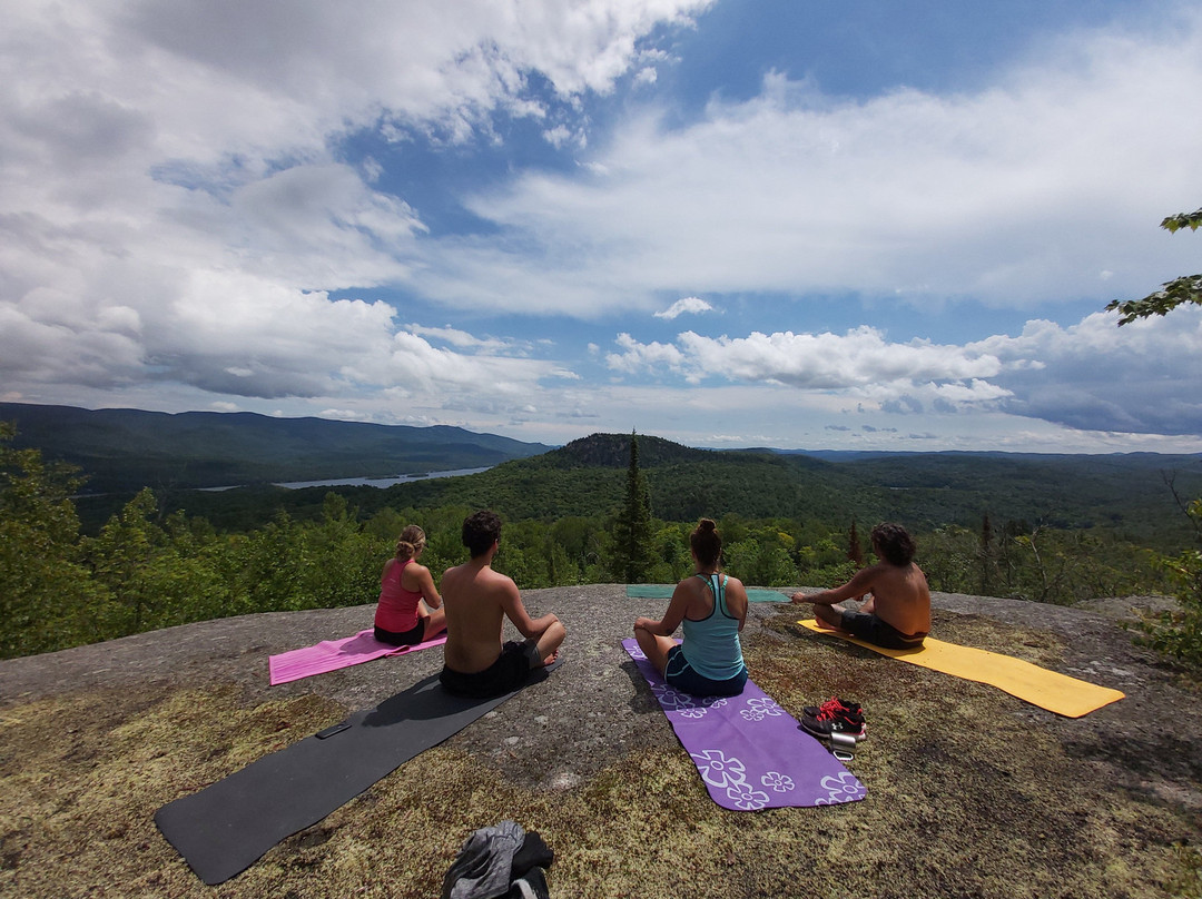 Excursion Yoga景点图片