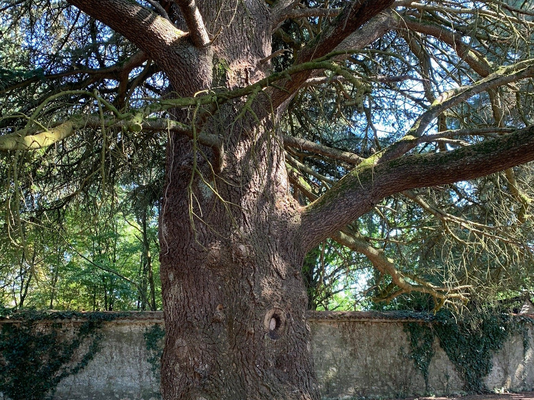 Domaine de La Boulaie主图