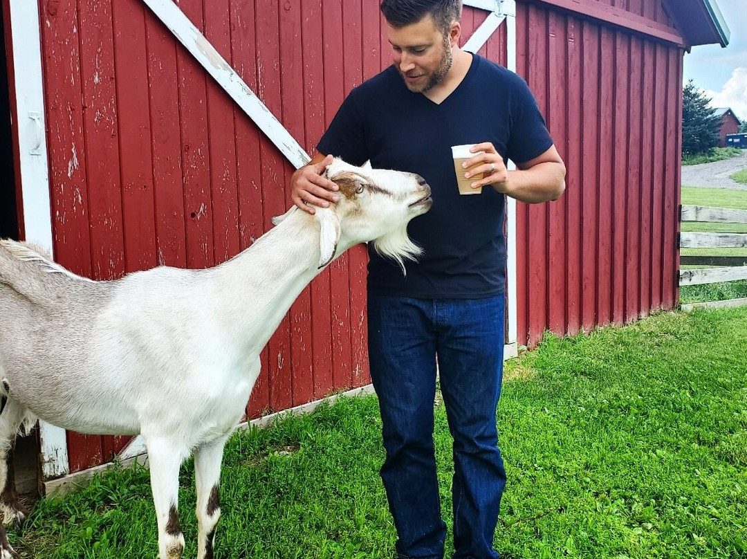 Mary's Meadow at Fernwood Farm Bed and Breakfast主图