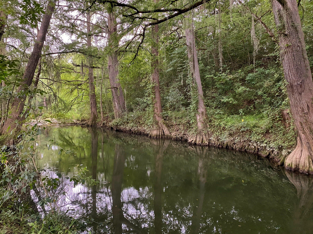 Ikaan Villa Spa主图