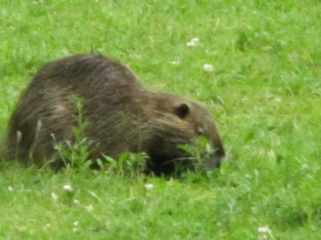 Biotop Beeden-Homburg必去景点