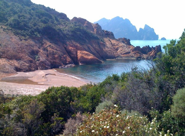 Scandola Marine-Galeria必去景点