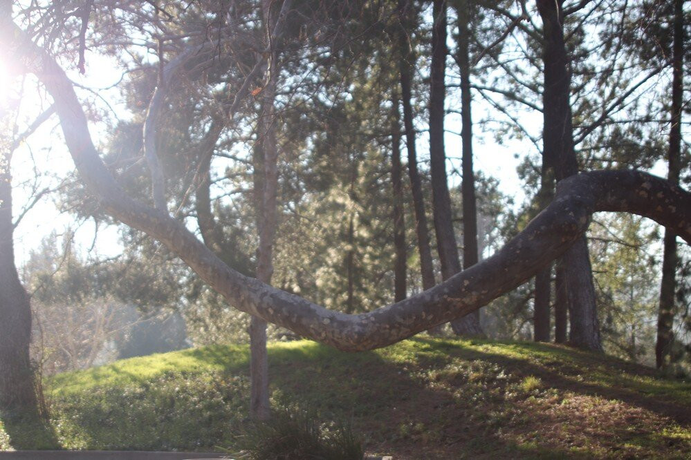 Glen Helen Regional Park-圣贝纳迪诺必去景点