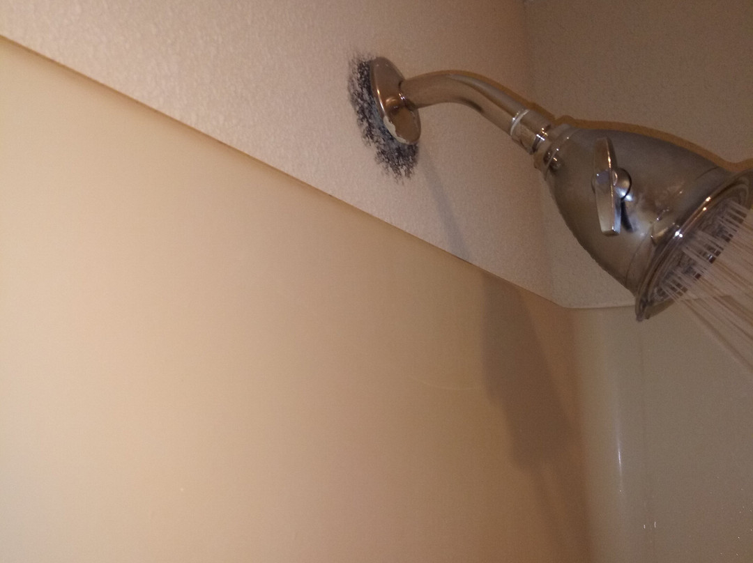 Baymont by Wyndham St. Ignace Lakefront主图