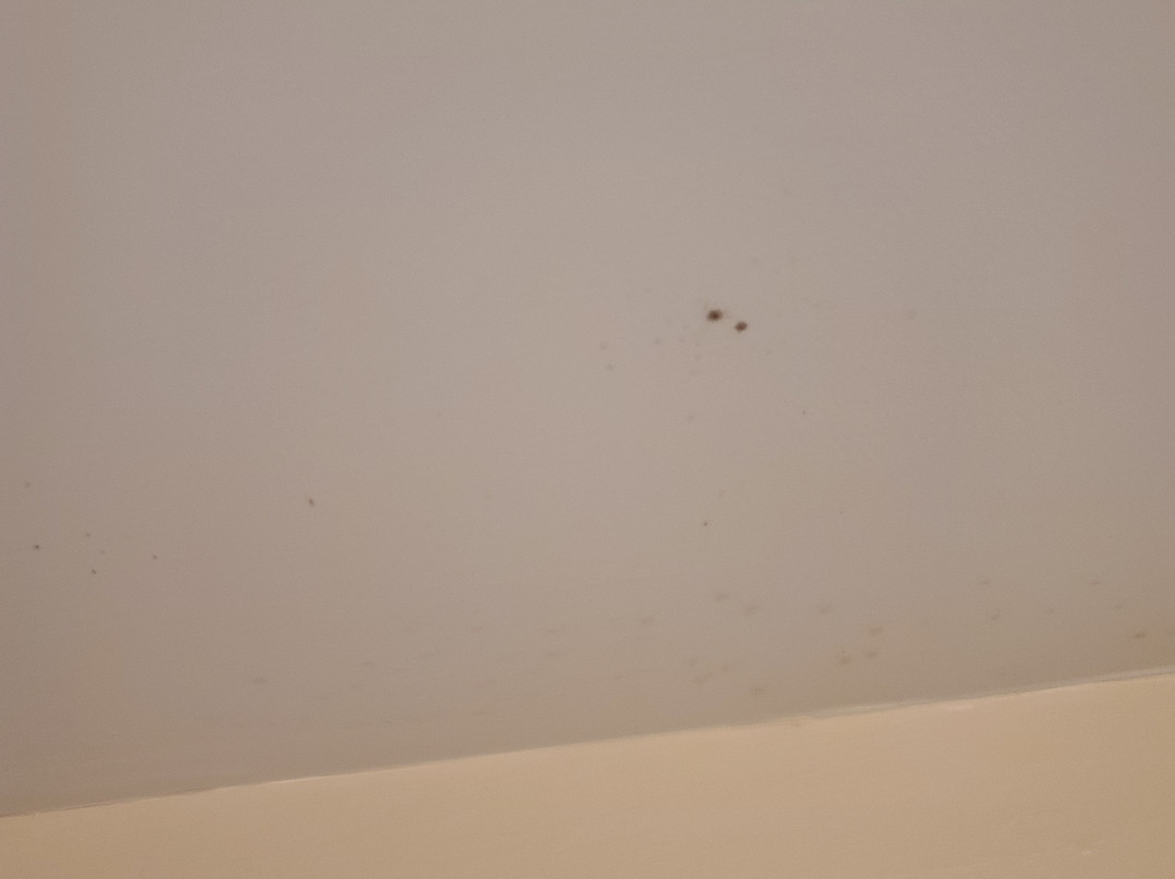 Sheepscot Harbour Village Resort主图