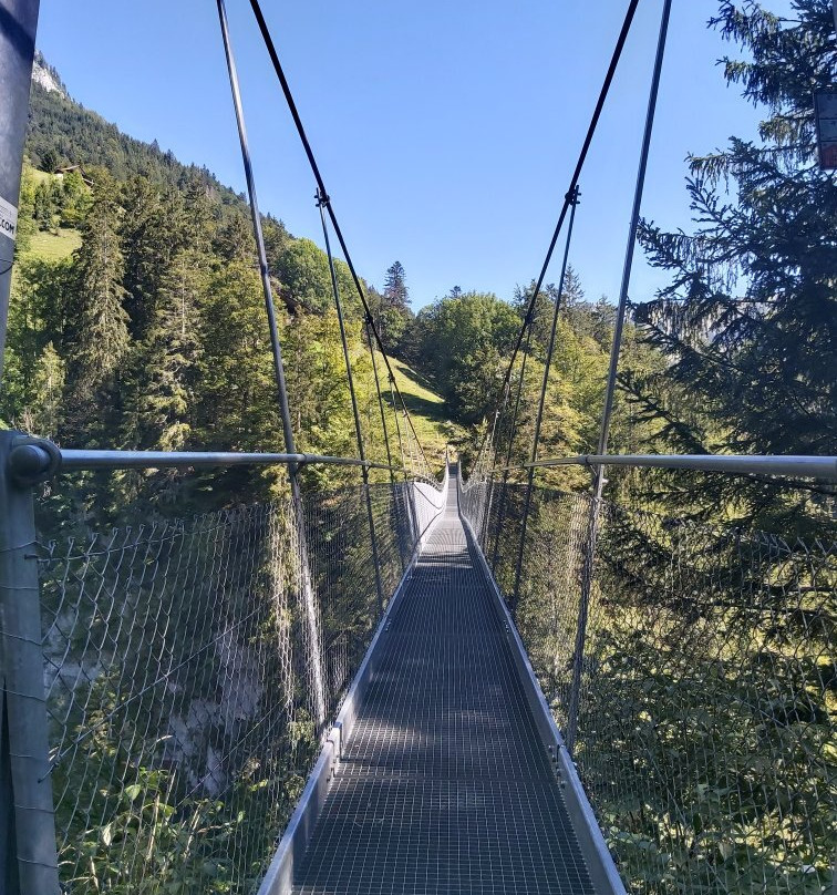 Hängebrücke Leiternweide景点图片