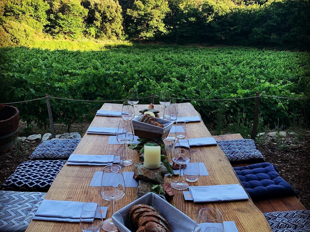 Cabrerolles旅游攻略图片