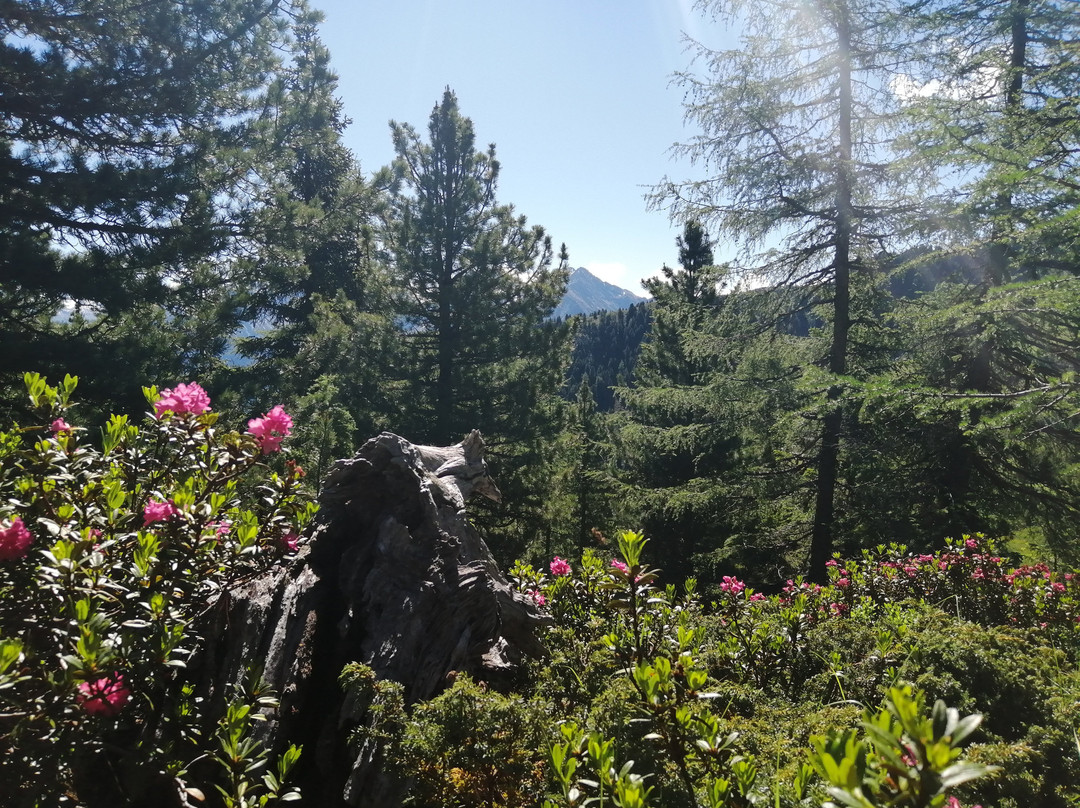 Alphotel Stocker主图