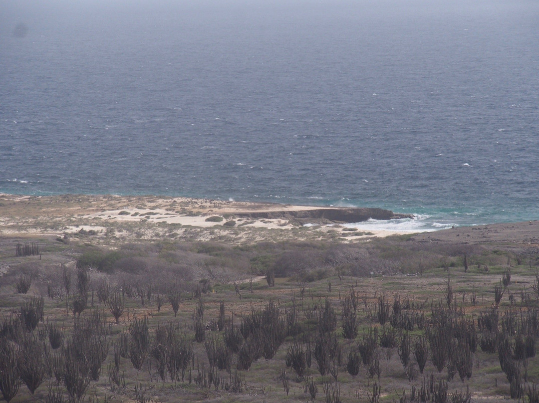 Kasikunda Climbing Trail-Washington-Slagbaai National Park必去景点