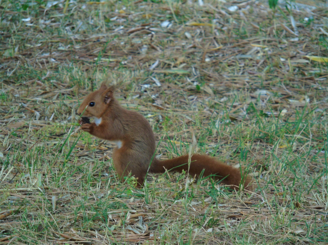 新磨坊地区酒店主图