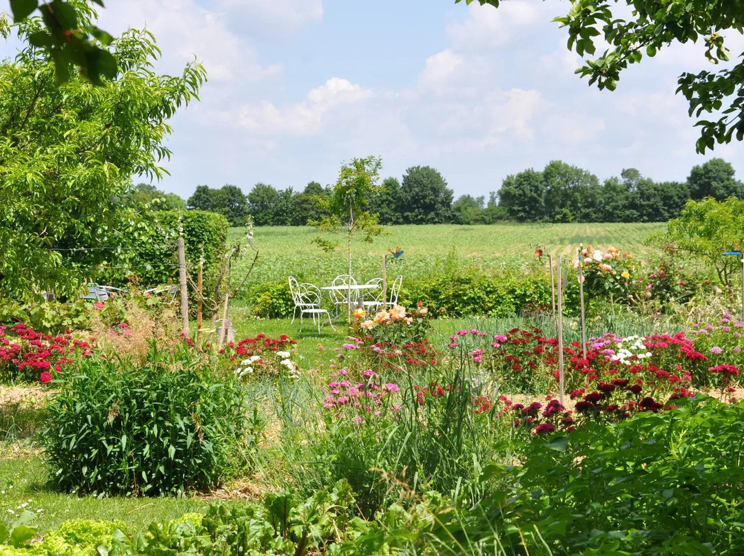 Gîte de Montifaud主图