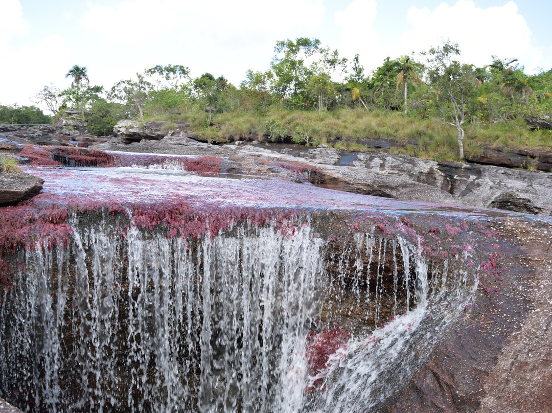 Cristales Tinigua Tour-La Macarena必去景点