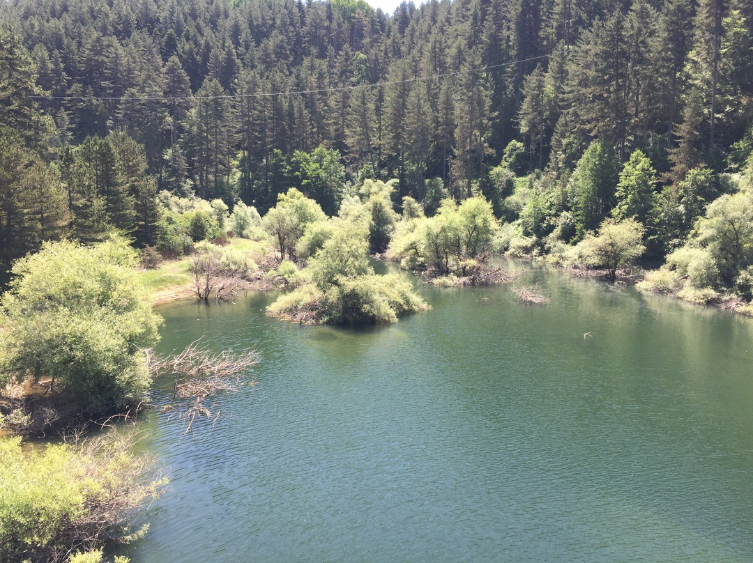 Lago Cecita景点图片