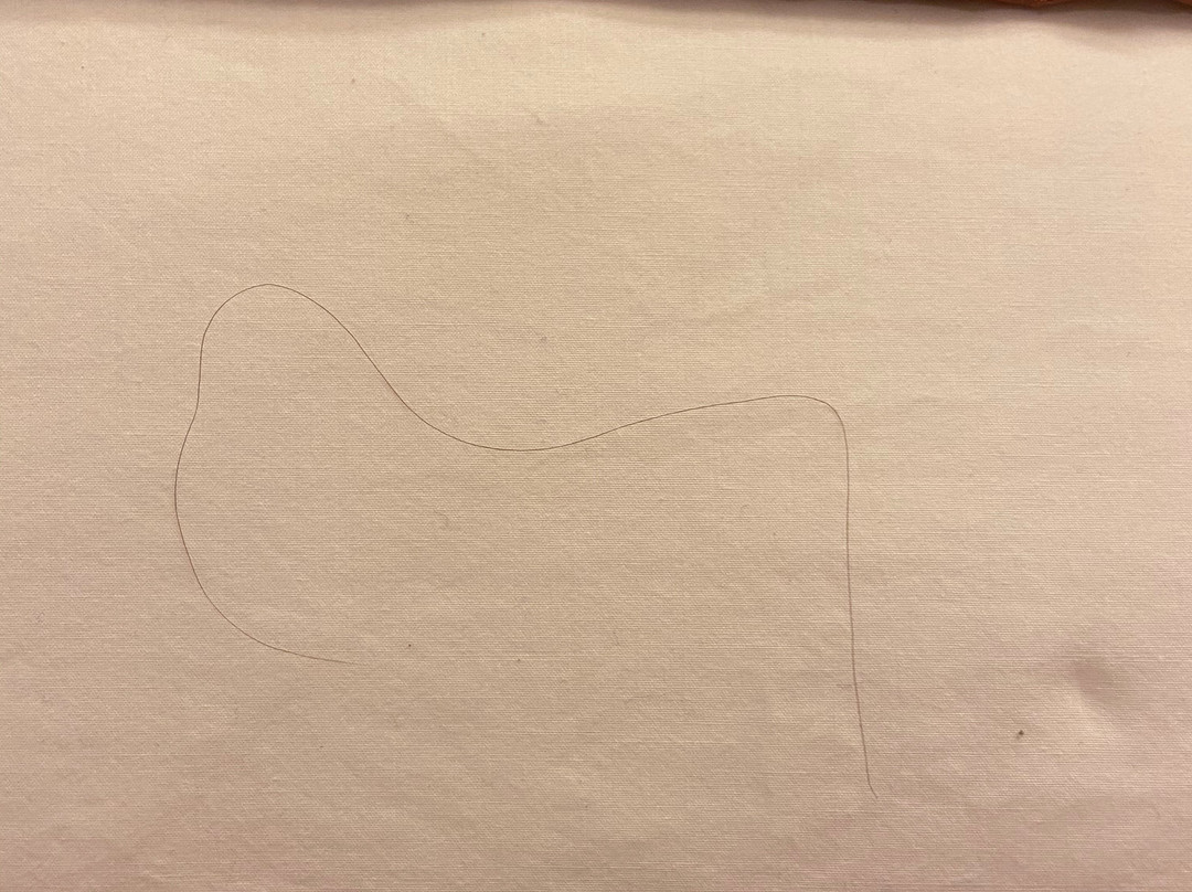 Microtel Inn & Suites by Wyndham Houma主图