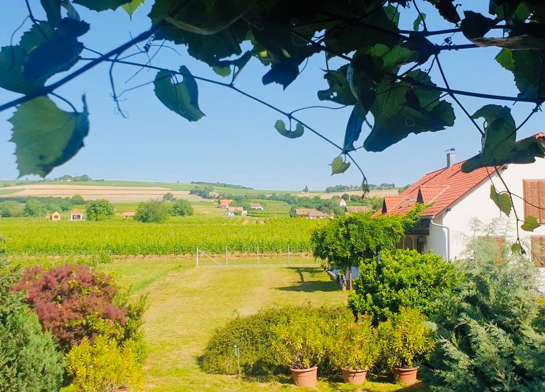 Tiffan's Winery and Pension主图