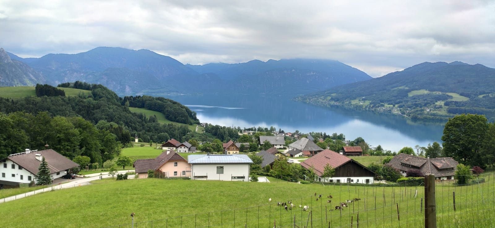 Biohof Schwanser-酒店景观