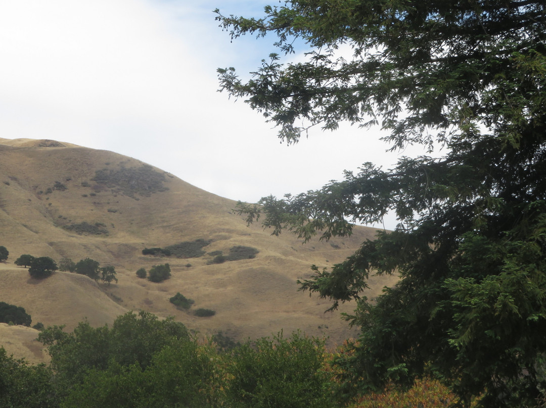 Alum Rock Park-圣何塞必去景点