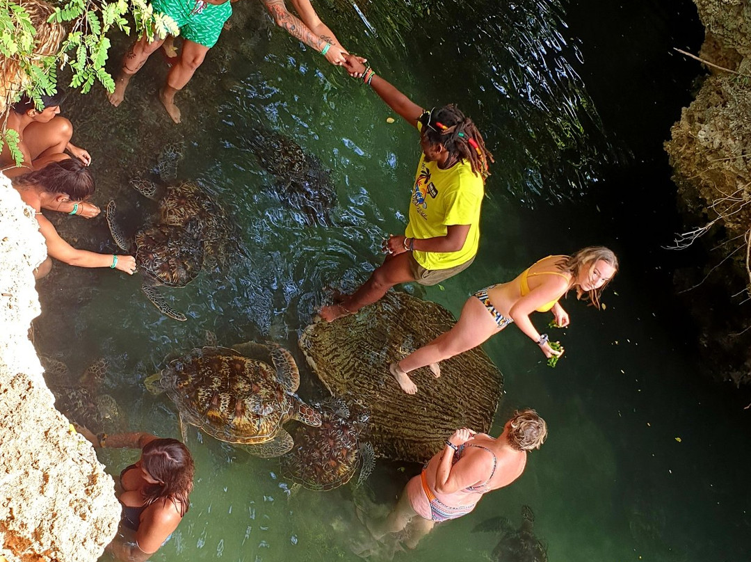 Baraka Natural Aquarium - Nungwi-孥归必去景点