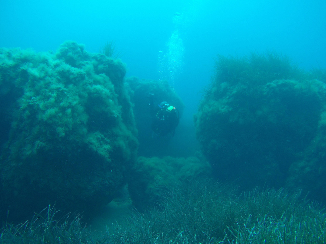 Ileia Dive Center-Pyrgos必去景点