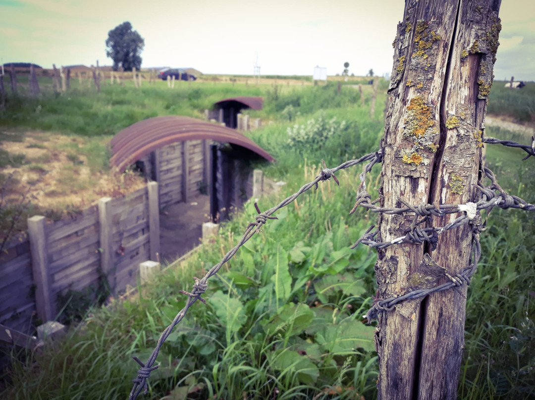 Christmas Truce Memorial景点图片