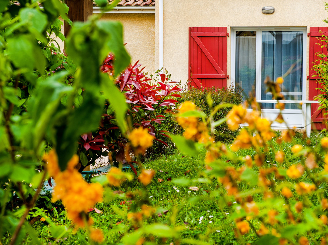 萨斯基亚公寓酒店主图