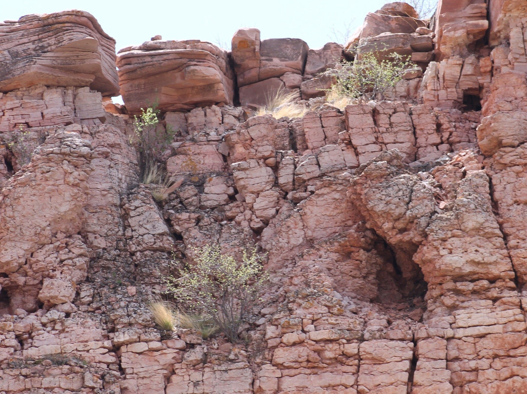 Red Mountain Open Space-Wellington必去景点