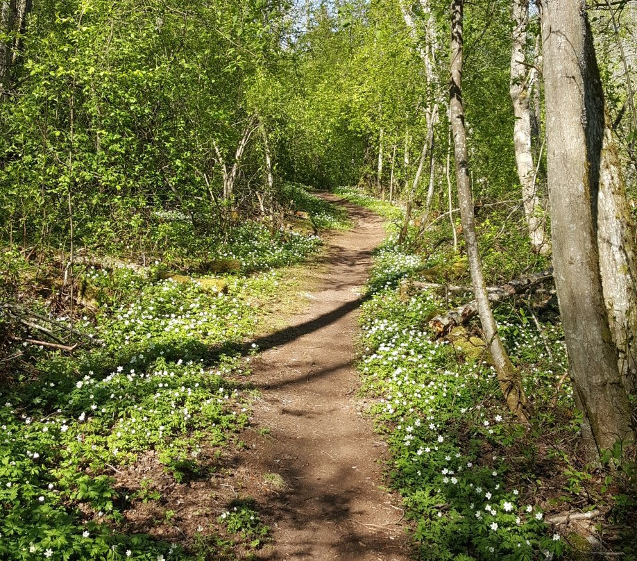 Saterdalens Folkpark-Sater必去景点