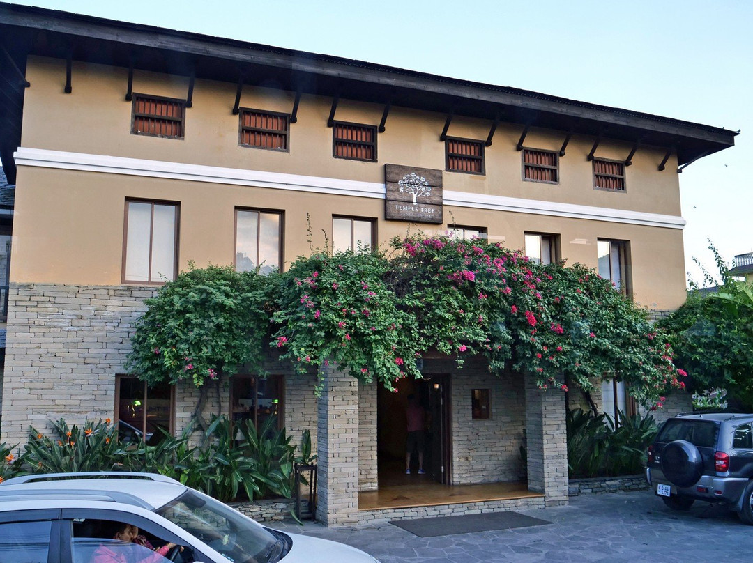 寺庙树温泉度假村主图