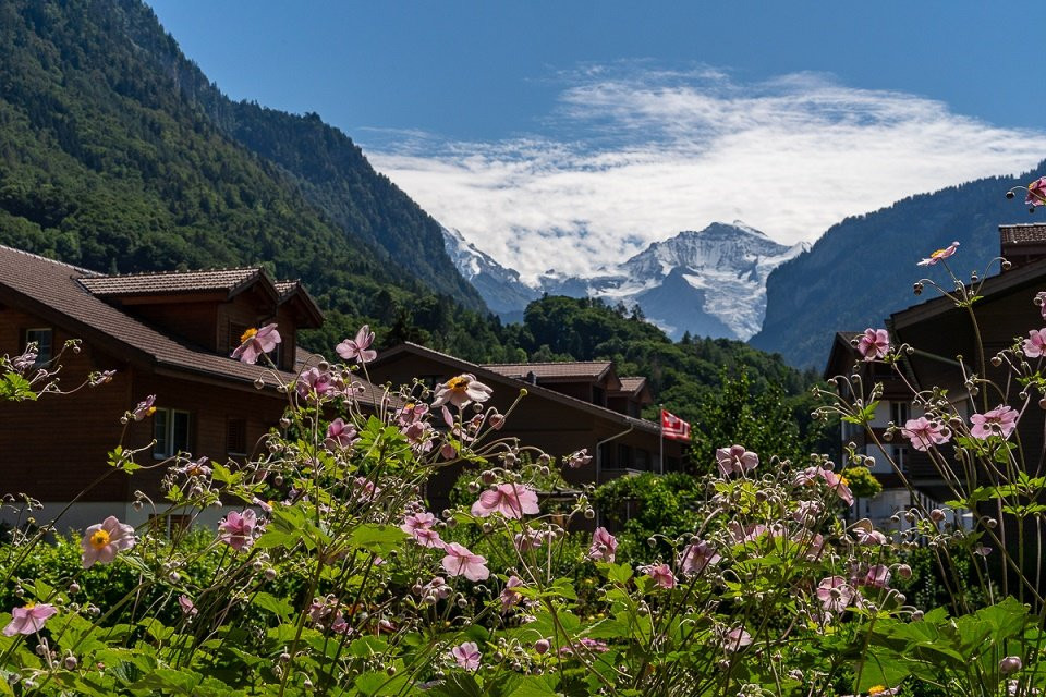 Edelweiss Lodge主图