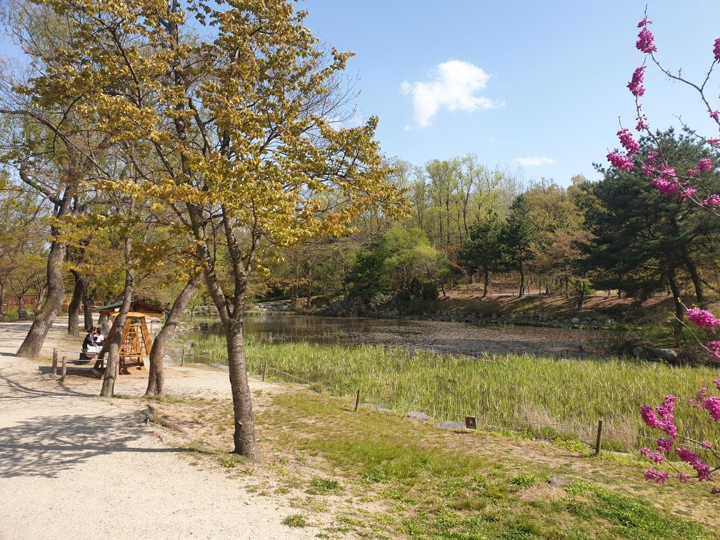 Mulhyanggi Arboretum-乌山市必去景点