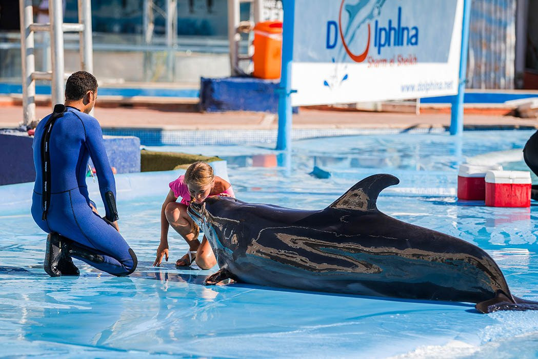 Memphis Tours-沙姆沙伊赫必去景点